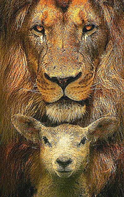 OurHope Emblem